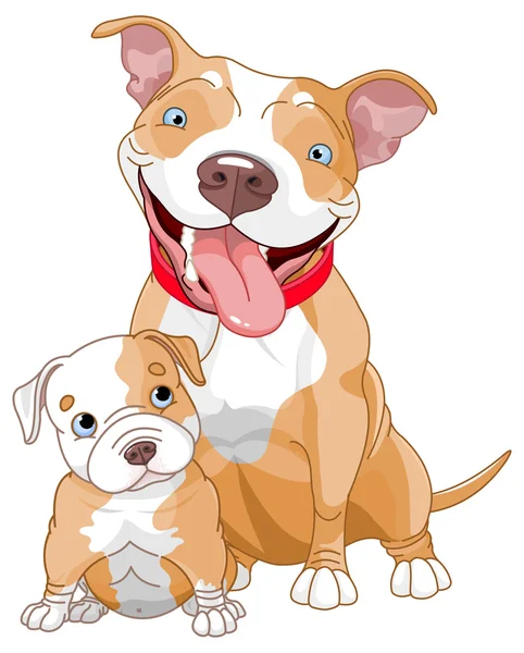 Diamond Pitbull Kennel